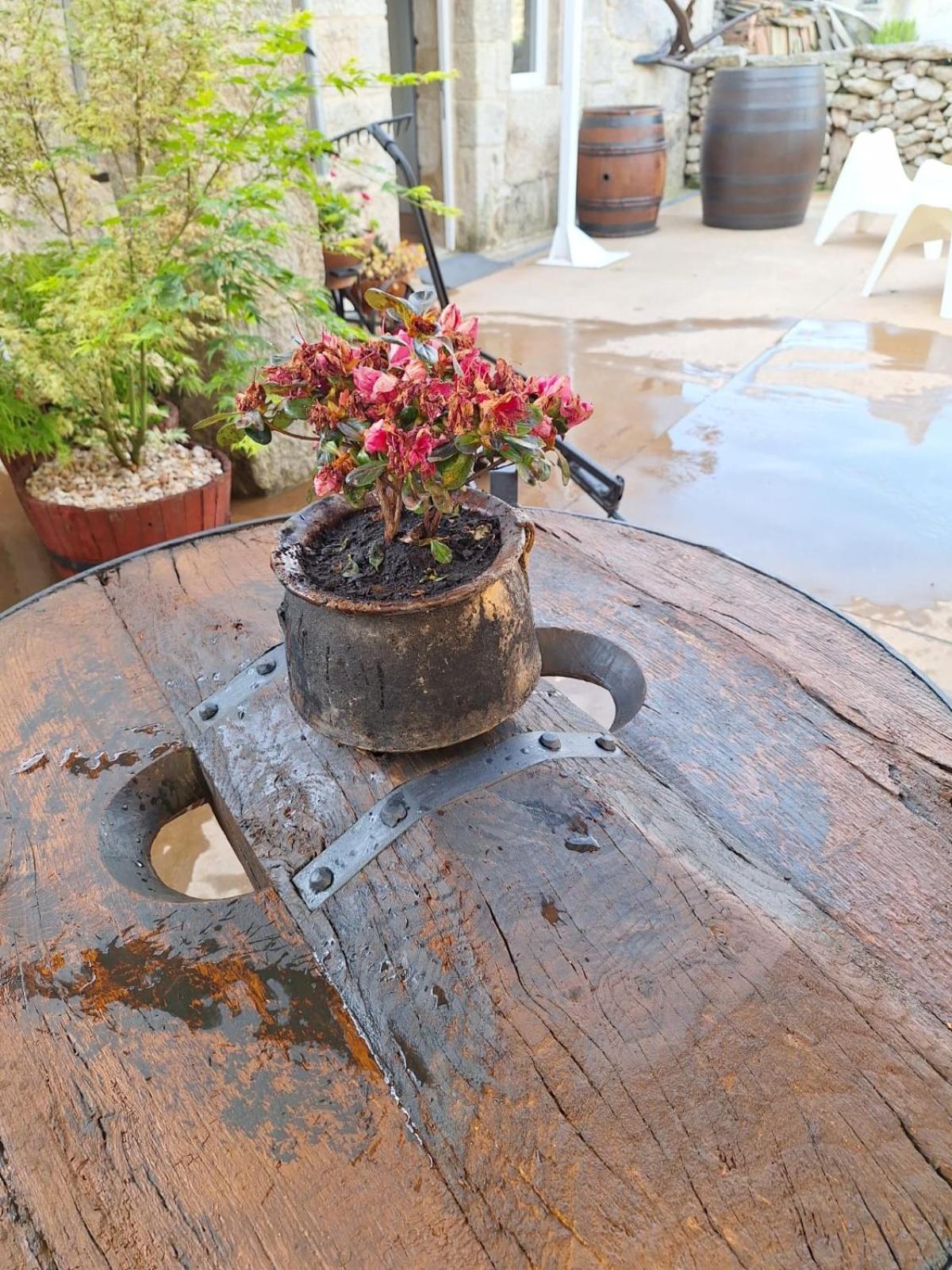 Pension O Corazon Da Ribeira Sacra La Teijeira Bagian luar foto