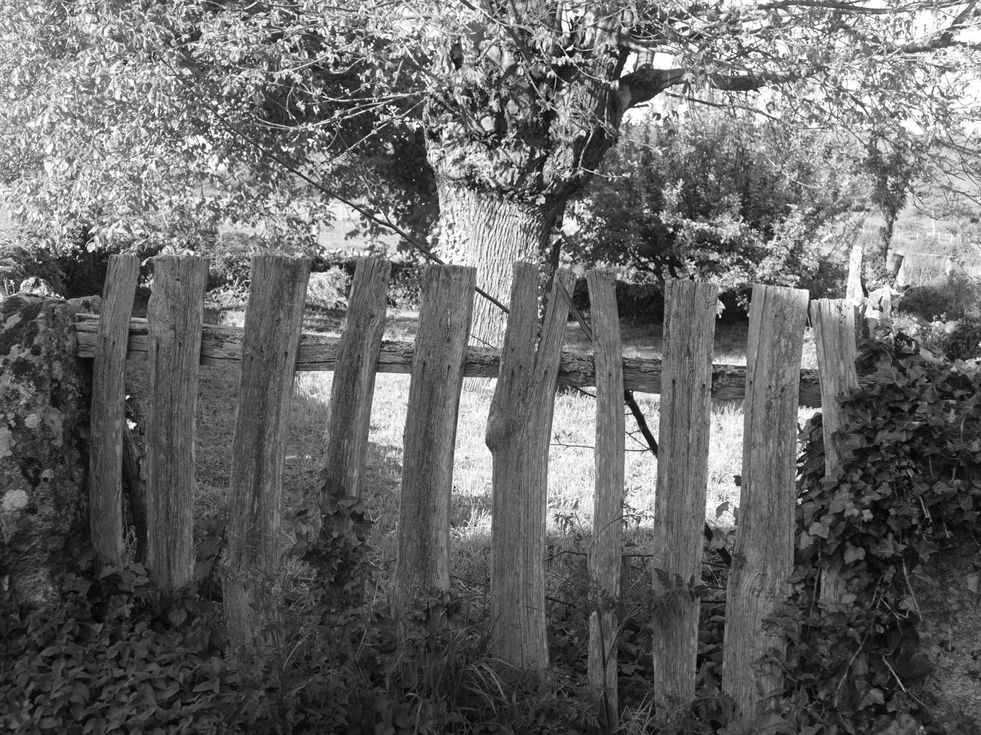 Pension O Corazon Da Ribeira Sacra La Teijeira Bagian luar foto